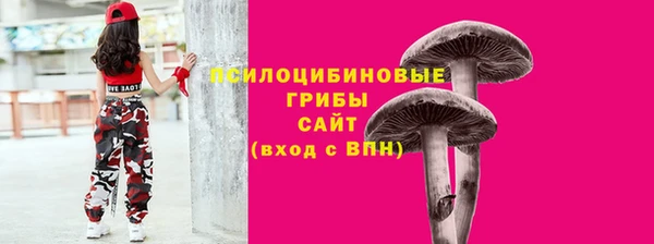 хмурый Осташков