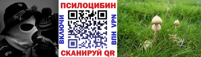 Псилоцибиновые грибы Magic Shrooms  Купить где  Чадан 